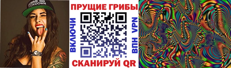 omg как зайти  Бабаево  Галлюциногенные грибы ЛСД 