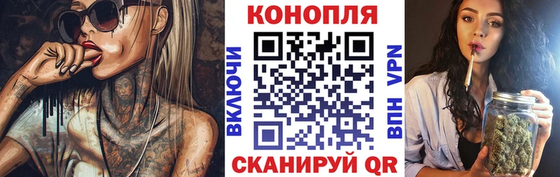 где продают наркотики  Бабаево  Конопля план 